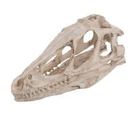 Patrón de Cráneo de Dinosaurio de Resina DinosaResin Esqueleto Animal simulado Decoración de Modelo de Esqueleto de Oficina en el Hogar 18X11X9 Patrón de Cráneo de Dinosaurio de Resina
