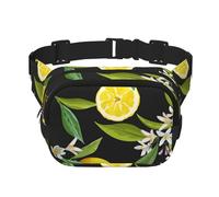 Patrón de Fruta de limón,Riñonera Cuadrada de Doble Capa, Bolso de Viaje, Bolso Informal para el Pecho.