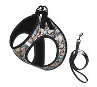 Patrón de Piedras de Playa,Arnés para Mascotas, arnés Reflectante Ajustable para Perros,L