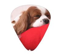 Patrón del Cavalier King Charles Spaniel,12 púas de guitarra, 3 grosores diferentes para guitarra acústica, bajo y ukelele