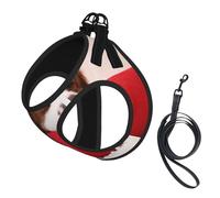 Patrón del Cavalier King Charles Spaniel,Arnés para Mascotas, arnés Reflectante Ajustable para Perros,S