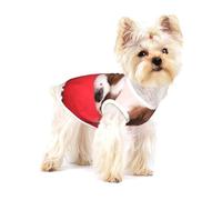 Patrón del Cavalier King Charles Spaniel,Camiseta de algodón sin Mangas para Mascotas, Chaleco Transpirable, Suave y elástico para Cachorros,S