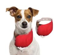 Patrón del Cavalier King Charles Spaniel,Pañuelos de algodón para Perros, Bufandas Ajustables para Mascotas,M