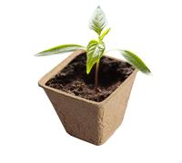 Pats de turba orgánica, macetas de turba,Topas de plantación compostables - Bandeja de guardería al aire libre, arrancador de germinación de flores, herramientas de cultivo de vegetales para jardín de