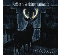 Pattern-Seeking Animals – Only Passing Through – CD – Importación USA