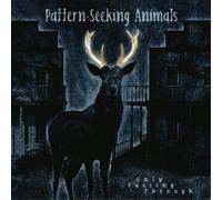 Pattern+Seeking Animals