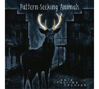 Pattern+Seeking Animals