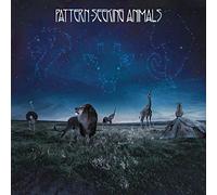 Pattern-Seeking Animals - Pattern-Seeking Animals