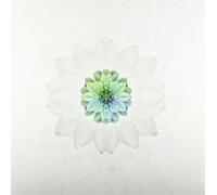 Paukku, Tuomas - Description