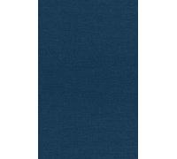 Paul A M Dirac The Principles of Quantum Mechanics (Tapa dura) (Importación USA)