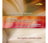 Paul Fried - The Chamber Works