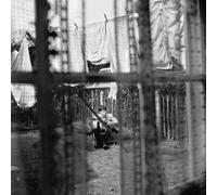 Chaos And Creation In The Backyard (Edición limitada)