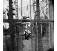 Paul McCartney Chaos and Creation in the Backyard (Vinyl) 12" Album