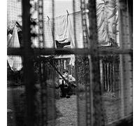 Paul McCartney Chaos and Creation in the Backyard (Vinyl) 12" Album