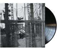 Paul McCartney Chaos and Creation in the Backyard (Vinyl) 12" Album