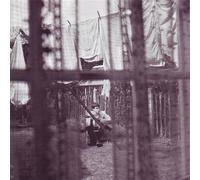 Paul McCartney - Chaos & Creation in the Back..