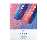 Paul Rubens Blanco Papel pastel al óleo A4 para Niños, estudiantes, artistas principiantes, 30 hojas, papel pastel para gouache, Dibujo a lápiz, rotuladores, 240gsm, 29,7CM x 22CM