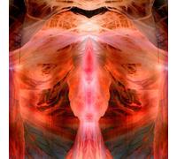 Paul Schutze The Annihilating Angel Or the Surface of (Vinyl) (Importación USA)