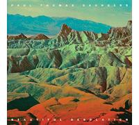 Paul Thomas Saunders - Beautiful Desolation [Vinilo]