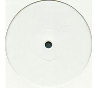 Paul Van Dyk Ft Wayne Jackson - The Other Side [Vinilo]