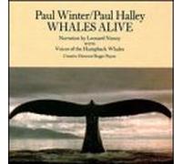 Paul Winter & Halley - Whales Alive