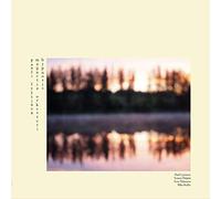 Pauli Lyytinen Magnetia Orkesteri (with Verneri Pohjola) - Hypnosis (LP) [Vinilo]