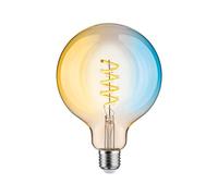 Paulmann 29161 Filamento 230 V Smart Home Zigbee LED Globe G125 E27 600lm 7,5 W Tunable White Dimming Gold Bombilla
