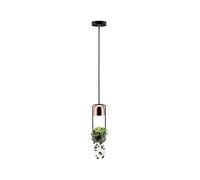 Paulmann 79749 Luminaria colgante Fanja, luminaria para plantas máx. 20 W, lámpara colgante, negro, cobre, metal GU10