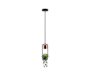 Paulmann 79749 Luminaria colgante Fanja, luminaria para plantas máx. 20 W, lámpara colgante, negro, cobre, metal GU10