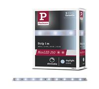 Paulmann 79857 Strip LED MaxLED 250 1 m luz diurna IP20 incl. 1x4 W, strip, regleta, tira de luz 6500 K