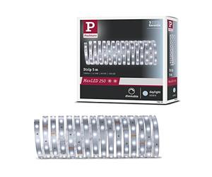 Paulmann 79859 Strip LED MaxLED 250 5 m luz diurna IP20 incl. 1x20 W, strip, regleta, tira de luz 6500 K