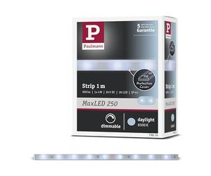 Paulmann 79874 Strip LED MaxLED 250 1 m luz diurna IP44 Protect Cover incl. 1x4 W, strip, regleta, tira de luz 6500 K