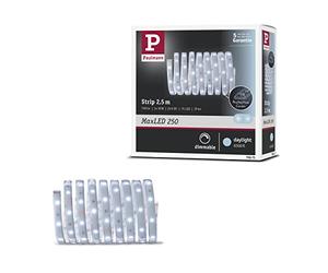 Paulmann 79875 Strip LED MaxLED 250 2,5 m luz diurna IP44 Protect Cover incl. 1x10 W, strip, regleta, tira de luz 6500 K