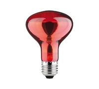 Paulmann 82977 - Bombilla reflectora R80 (60 W, casquillo E27, 230 V, 26 lúmenes)