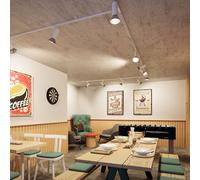 Paulmann Apol URail Spot blanco mate