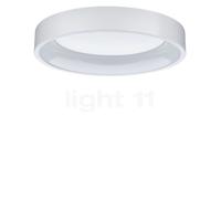 Paulmann Ardora, lámpara de techo LED, blanco