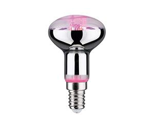 Paulmann Bombilla LED 28734 para plantas, bombilla de 4 W, luz de cultivo, luz de iluminación, 1300 K, E14