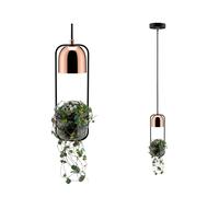 Paulmann 79749 Luminaria colgante Fanja, luminaria para plantas máx. 20 W, lámpara colgante, negro, cobre, metal GU10