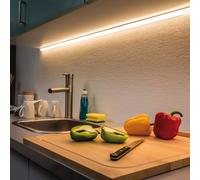 Paulmann MaxLED 500 tira IP44 1m blanco cálido