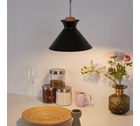 Paulmann Pauleen Colgante Mystical Delight Negro/Madera Redondo 5W E27 LED [EEK: F]