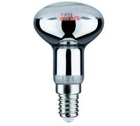 Paulmann Plant bombilla led 1x6.5 W 1300 K E14 28734