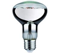 Paulmann Plant bombilla led 1x6.5 W 1300 K E27 28733