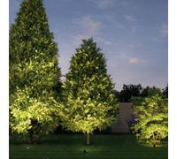 Paulmann Plug & Shine Lámpara empotrable 14cm 3.000K 38°