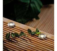 Paulmann Plug & Shine lámpara empotrable 93694 accesorio de 5 piezas