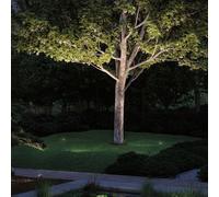 Paulmann Plug & Shine LED foco con pica Radon