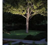 Paulmann Plug & Shine LED foco con pica Radon True