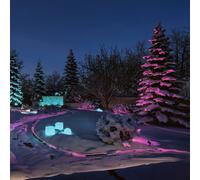 Paulmann Plug & Shine LED-Stripe Neon 5 m, ZigBee, RGB, IP67 True