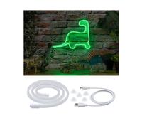 Paulmann tira LED Neon Colorflex USB 1 m verde