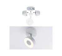 Paulmann URail ZigBee alimenta 1 foco blanco mate