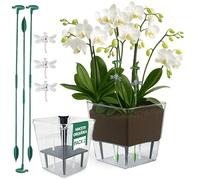 Pau's Shop Pack de 2 Maceta Orquídea con Sistema Autorriego - Maceta Grande (10 x 15 cm) y Pequeña (7.5 x 11 cm) - Macetas Decorativas Interior - Macetero orquídeas Transparente Macetas Plástico